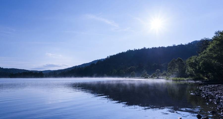 今年起家电厂商需要这个新姿态-家电圈官网