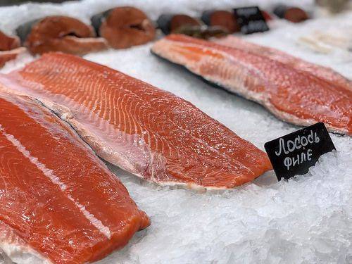 猫咪加菲猫掉毛比别的猫掉毛多怎么办