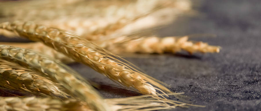 控制|糖友控制饮食后经常饥饿怎么办？