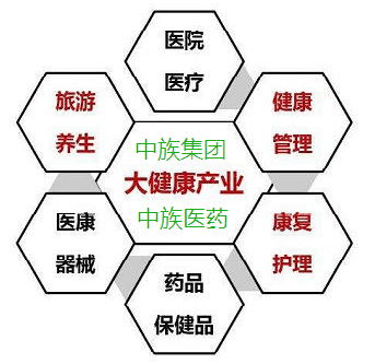 国家|进军大健康产业，中族集团携手中族医药为健康中国添彩！
