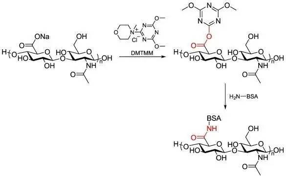 单糖组分化学位移确定方法dqfcosy谱tocsy谱