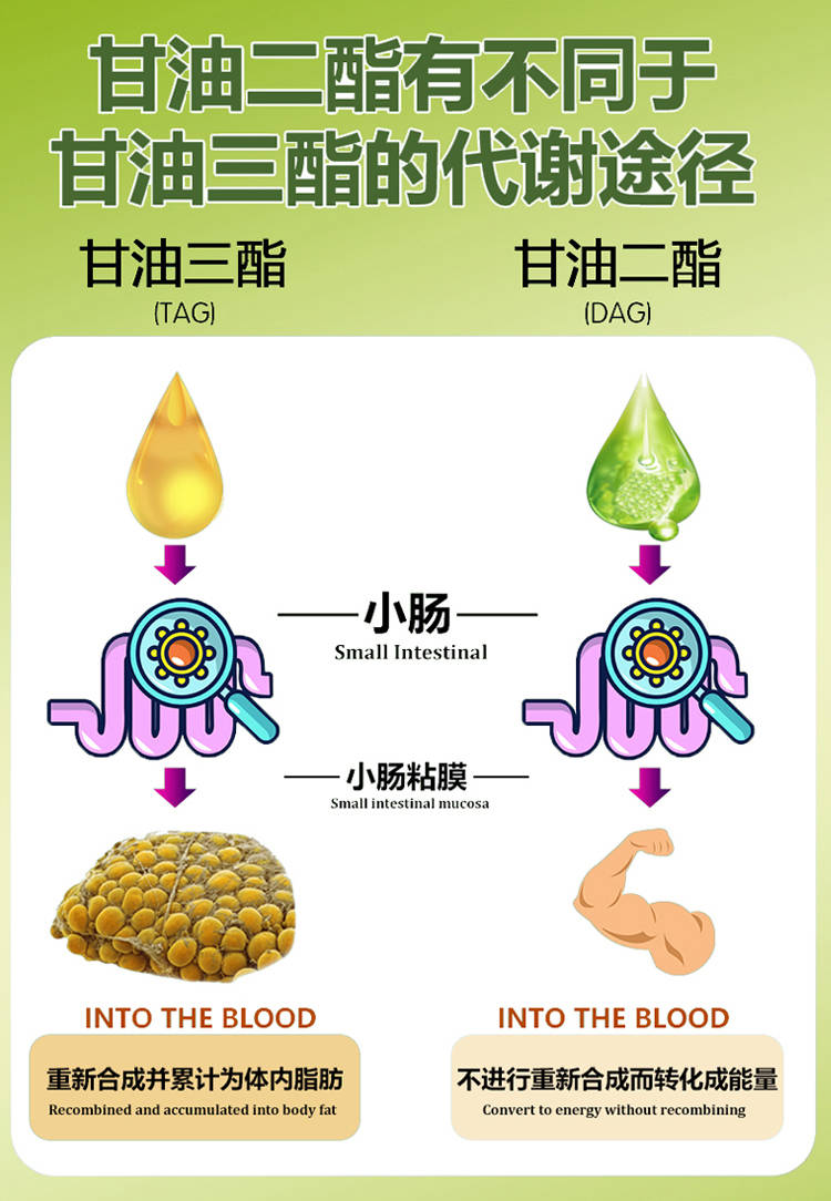南山康美橄榄甘油二酯食用油产品介绍