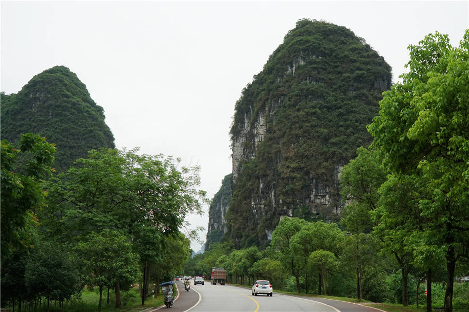 漓江|广西：阳朔，十里画廊，遇龙河两岸的“玉碧罗青”