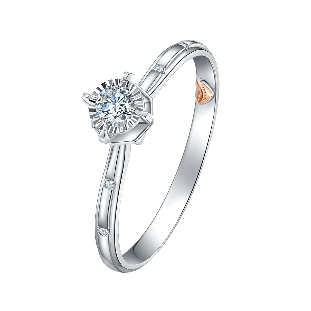 刘培钰|你可以永远相信爱情