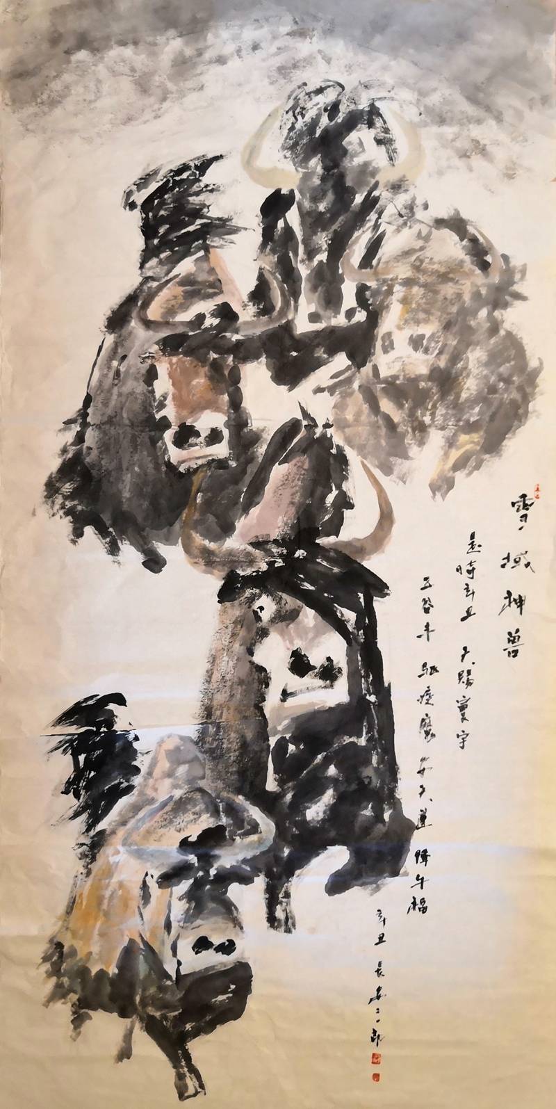 西藏阿里神兽金丝野牦牛2021三郎新作欣赏二