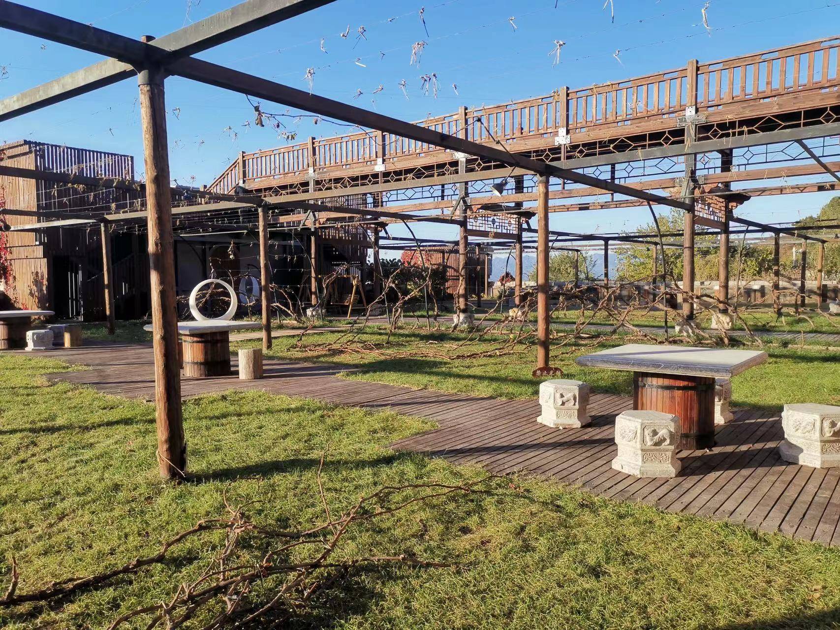 葡萄藤|北京必去庄园之一，你知道是哪里吗？