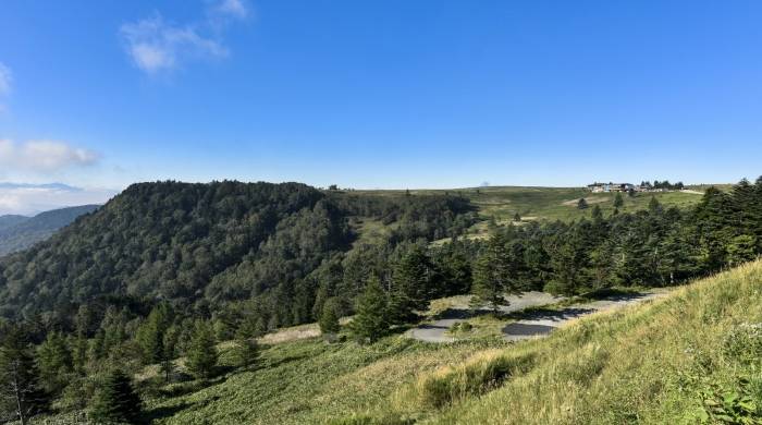 不确定时代家电业增长的底牌是什么？用户为核心的组织迭代-家电圈官网