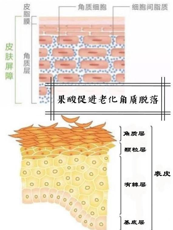 什么毛孔粗大怎么改善？