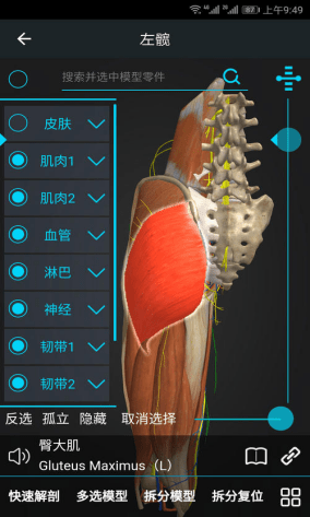 医学|医学APP大集锦.各位医学生可不要手下留情