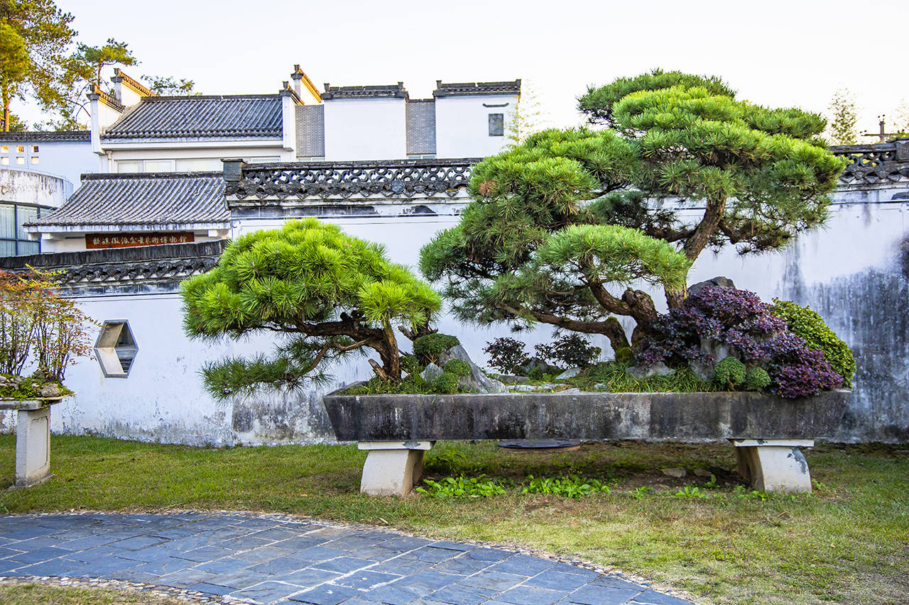 盆景|鲍家花园，中国最大的私家园林盆景观赏地