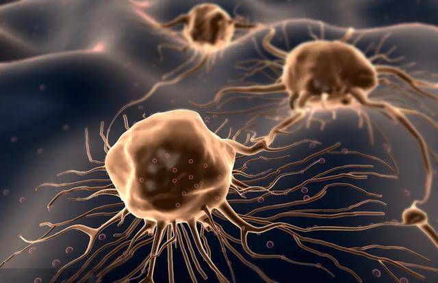 视网膜|咸阳市第一人民医院完成全市首例眼内恶性肿瘤摘除术