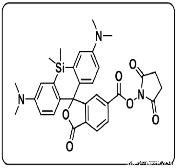 胺反應探針sirnhsester偶聯抗體藥物蛋白質或核酸的說明