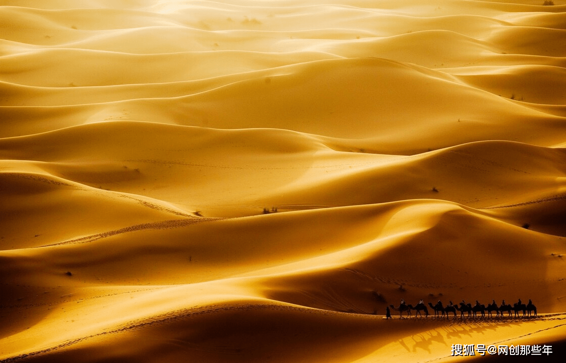 创业|低成本创业之早餐与个人ip的结合会有哪些机会?