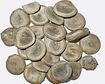 有毒|马钱子怎么样才能“减毒增效”？与哪种中药配伍效果更好？