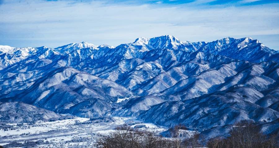 大金空调的业务新变法，中国同行们如何应对？-家电圈官网