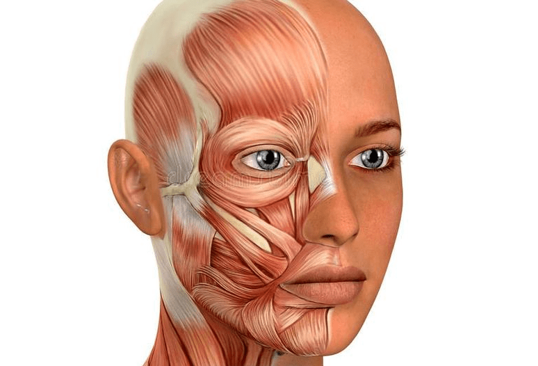 治疗如何防止面部苹果肌下垂和凹陷，一张图片告诉你
