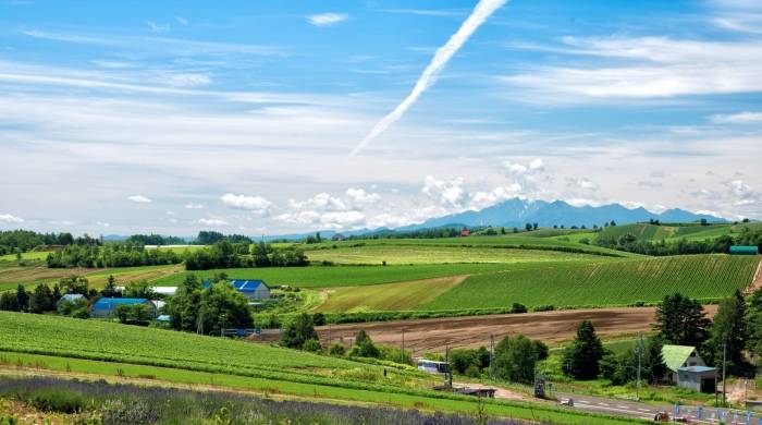 一些不起眼的细分小渠道,却是不少家电厂商的增长点-家电圈官网