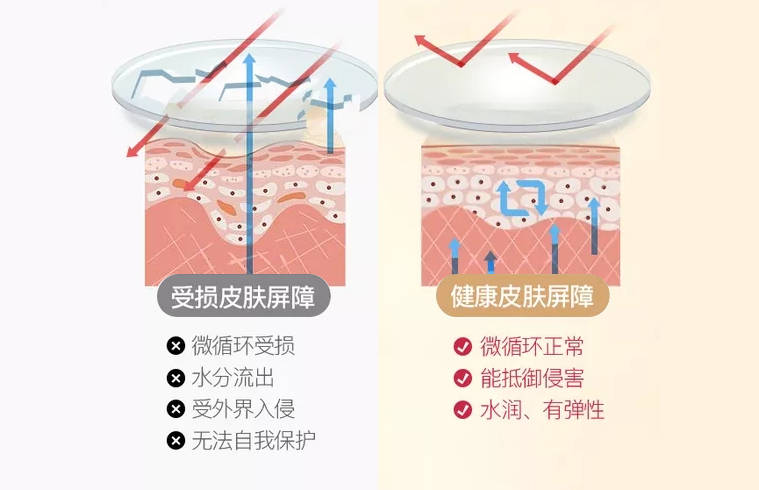 品牌过度清洁、随意刷酸？油痘肌的皮肤屏障远没有你想象的坚固！