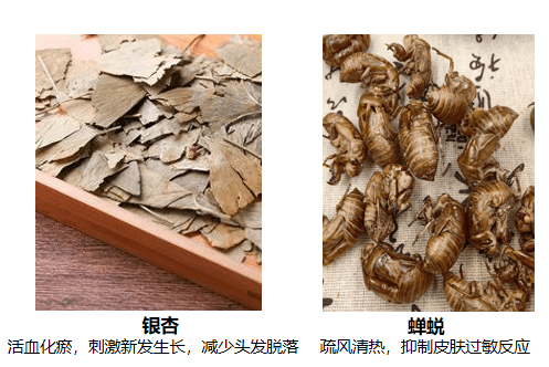 丰盈孟河医派百年古方，头源地养出好头发