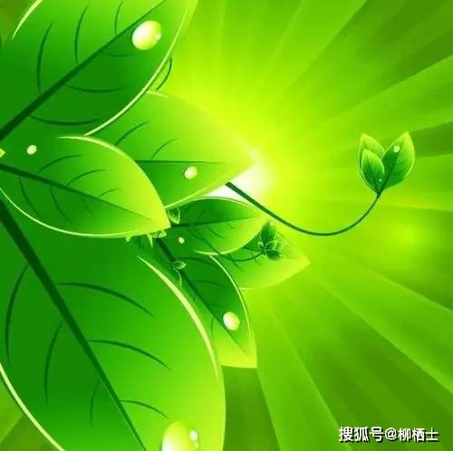 612cee3459a44b98bdd8135c65225d4e.jpeg