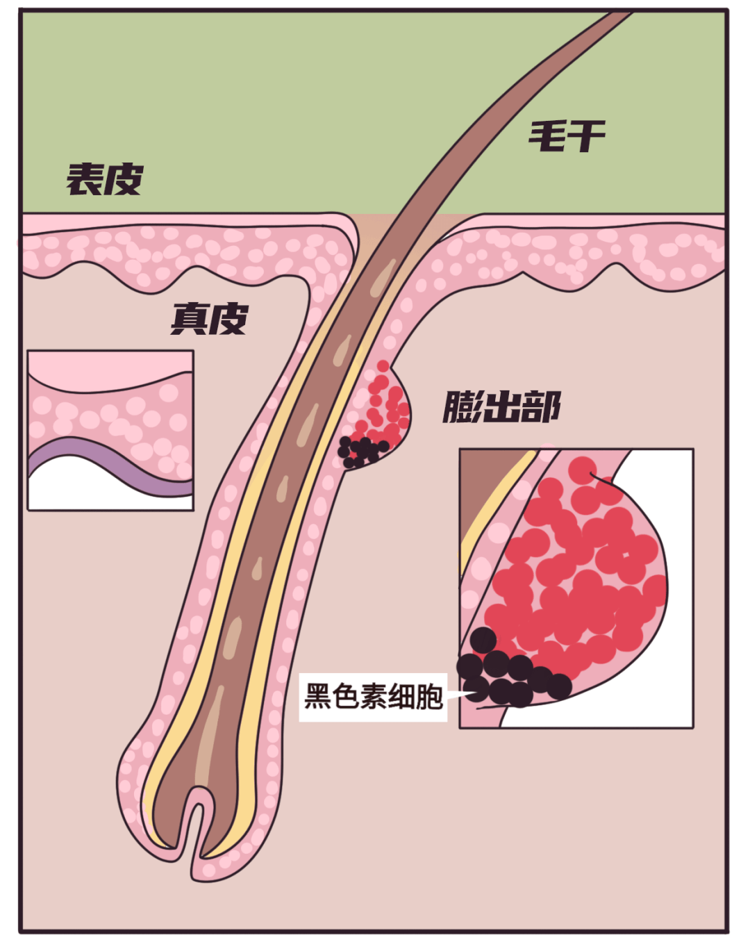 原罪长胡子不是女生“原罪”，让Ulike脱毛仪来为你解决烦恼