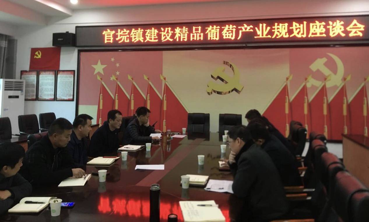 澧县官垸镇:争创葡萄产业精品小镇,助力乡村振兴