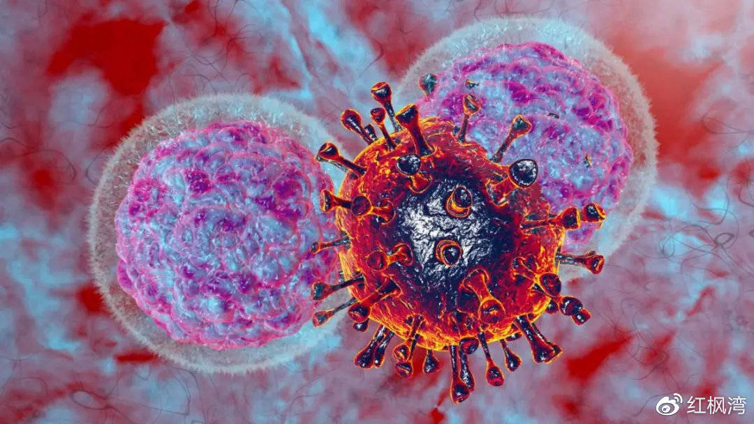 原创艾滋知识有关艾滋病毒和艾滋病的8大常见谣言你知道吗