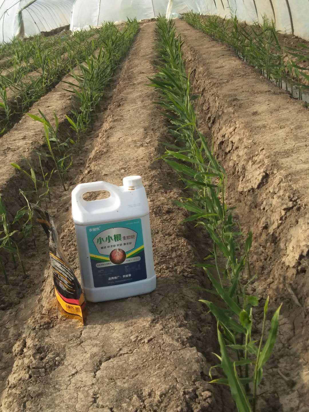 农极客小小根生根肥含氨基酸水溶肥料生根爆根
