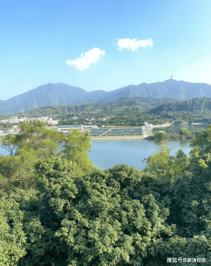 过程|团建丨行走绿道，闲坐亭凉，新涛总部与大自然的亲密拥抱之旅