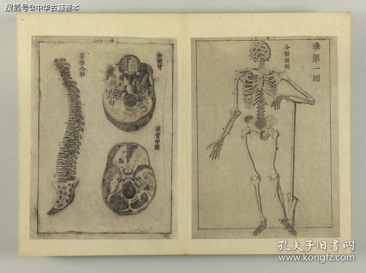 玄白|日本第一部译自外文的人体解剖学书籍《解体新书》