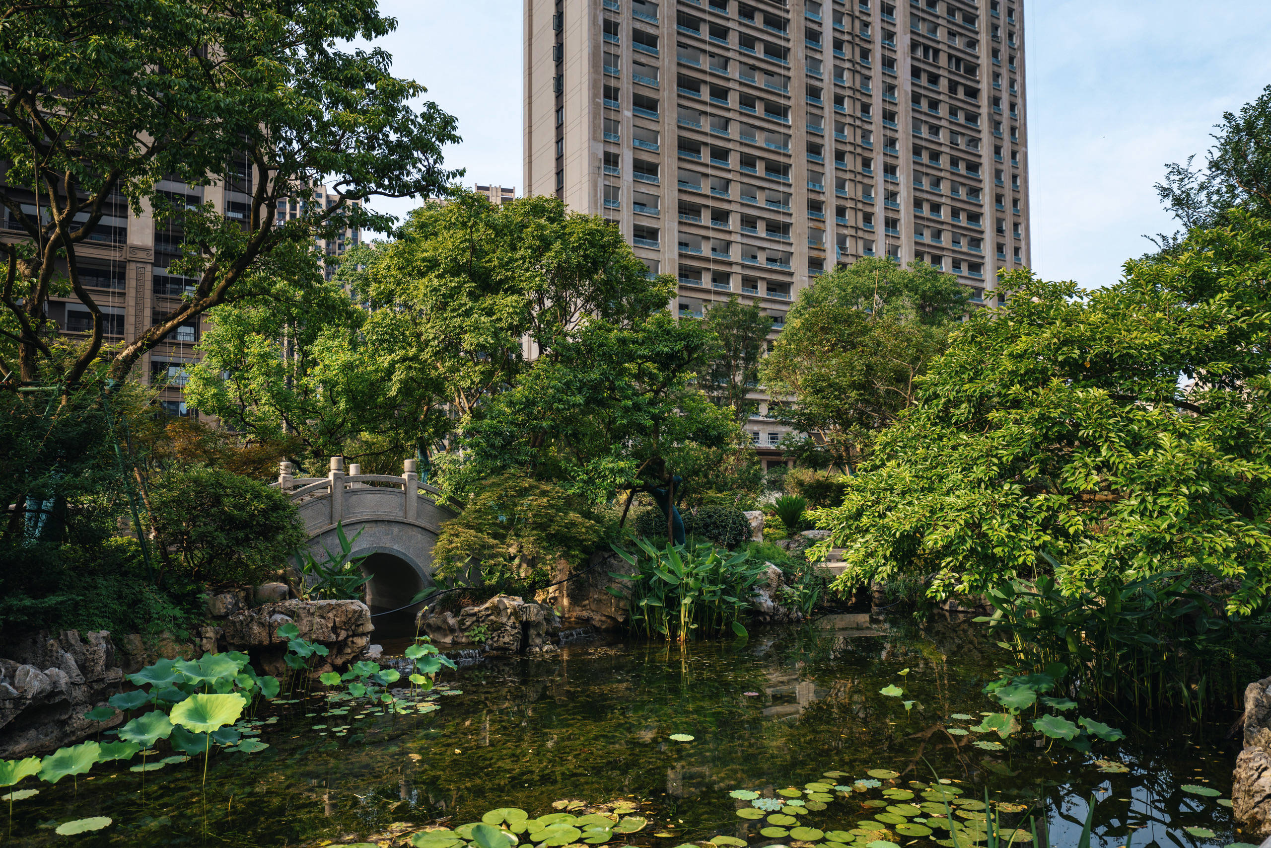 长沙建发央著图片