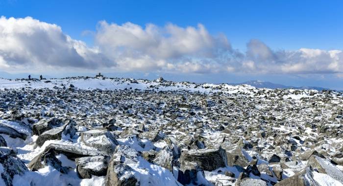 头部家电企业再迎实质性利好,冷链物流商机多而广-家电圈官网