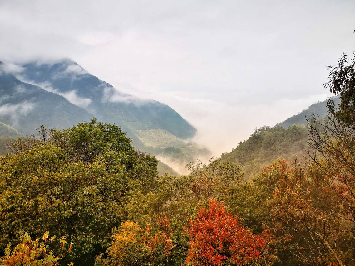  丽水松阳旅游|睡海拔660米山谷|云端觅境