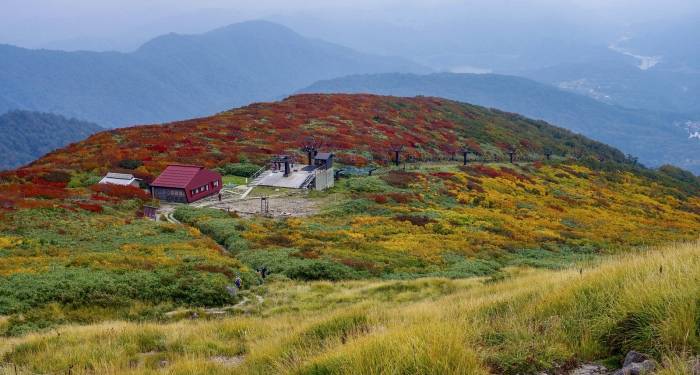寻找新赛道新风口时，中小家电厂商还得守住生存基本盘-家电圈官网