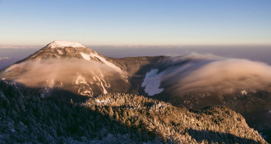 洞察2021年中国家电产业变革的四个关键字-家电圈官网