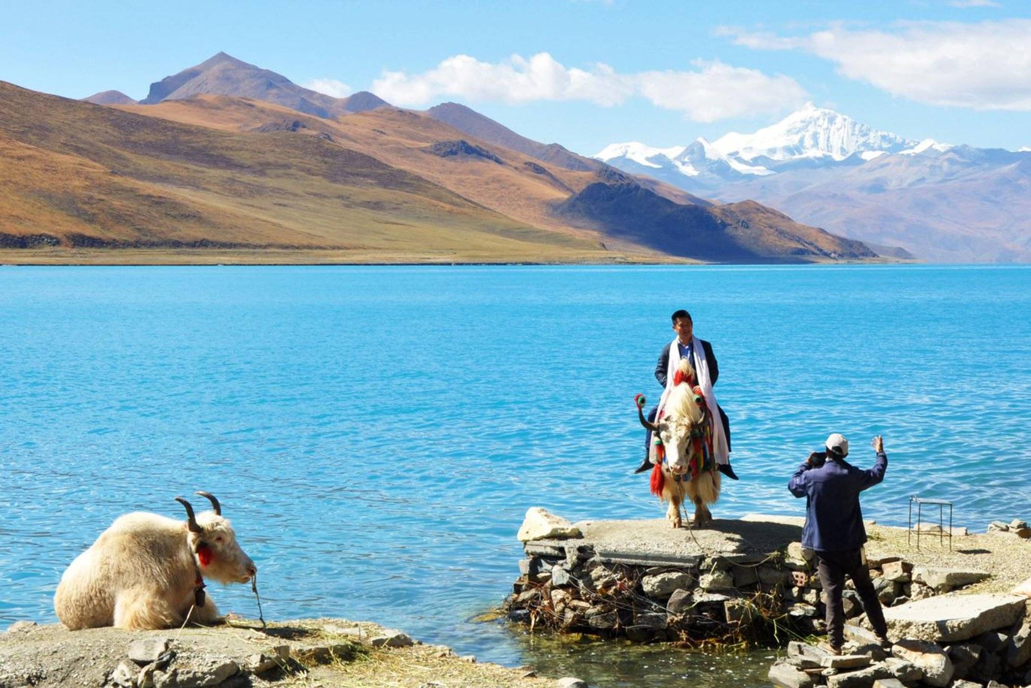 打卡西藏山南牧羊草地上的翡翠神湖，羊卓雍措
