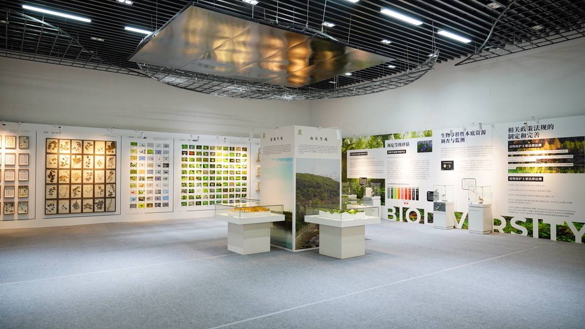 上海植物园生物多样性保护科普展
