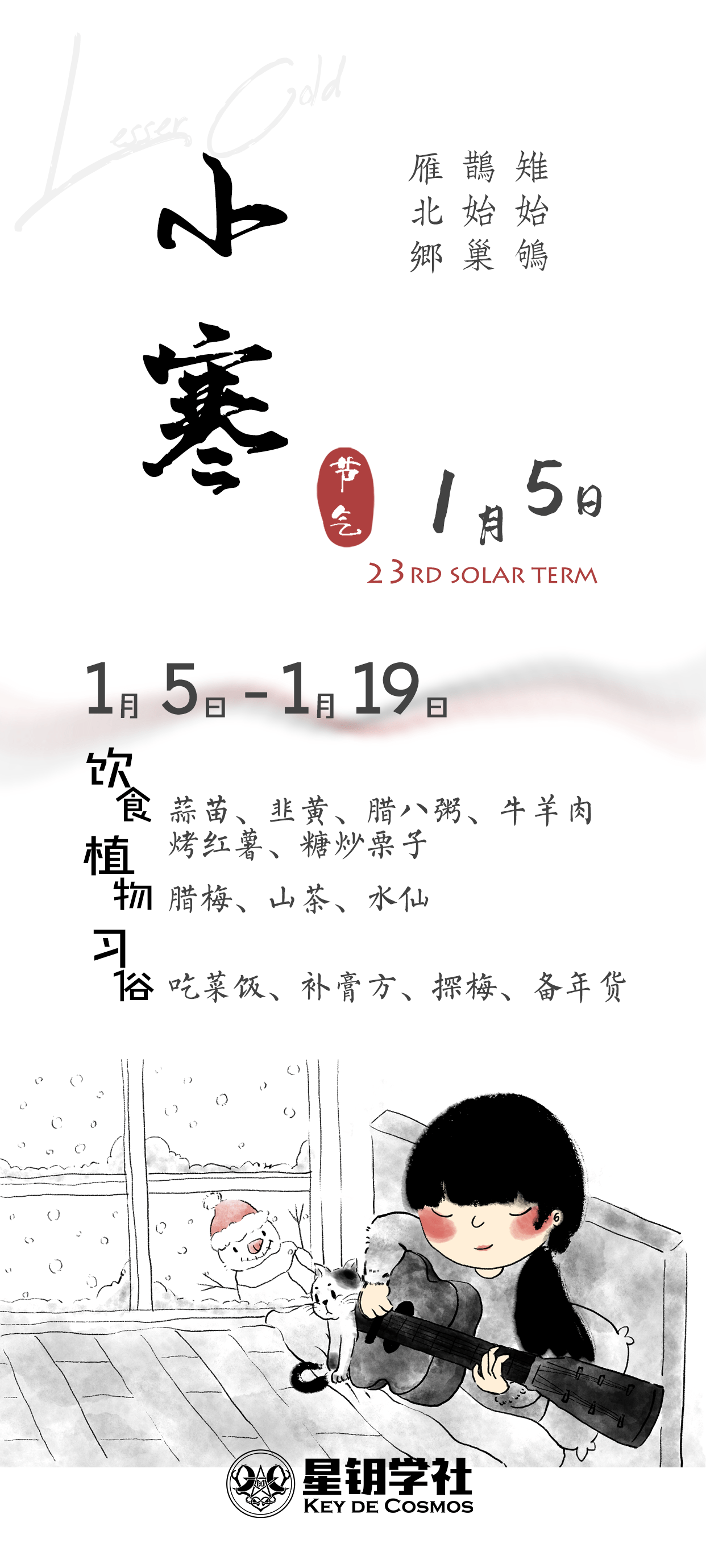 大雁,防寒,大雁,冬雨|今日小寒（1.5）一场冬雨，一场透心凉