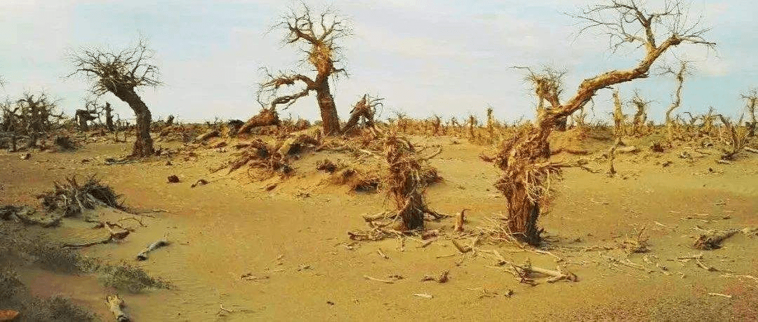 头皮头源地科普：头皮为什么需要护理？