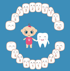 牙龈|宝宝长牙有规律，出牙晚未必就是缺钙