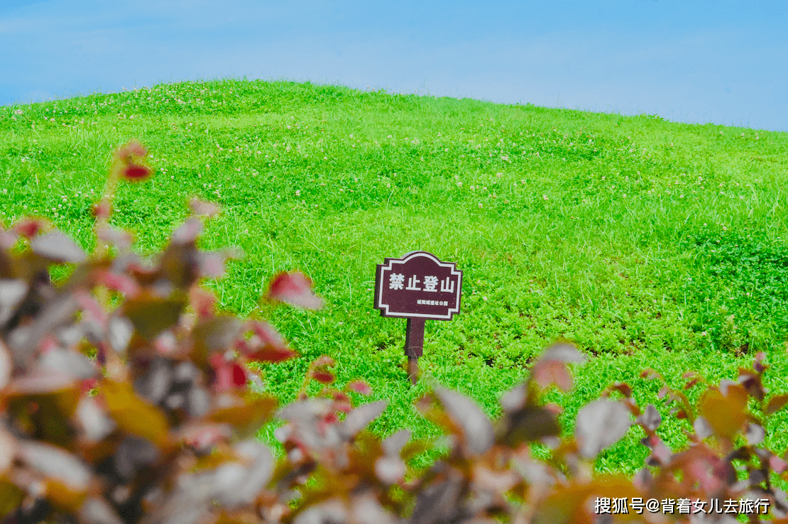 历史^楚国都城在河南？挖出天价国宝，地下100座古墓