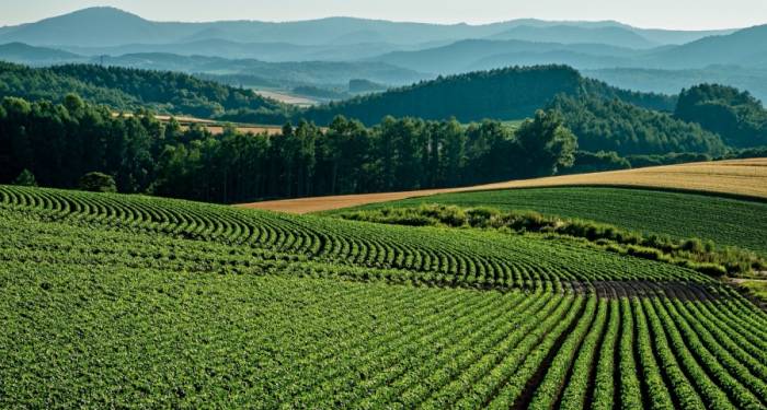 家电实体店不会更差也难更好,大家都要做好一个准备-家电圈官网