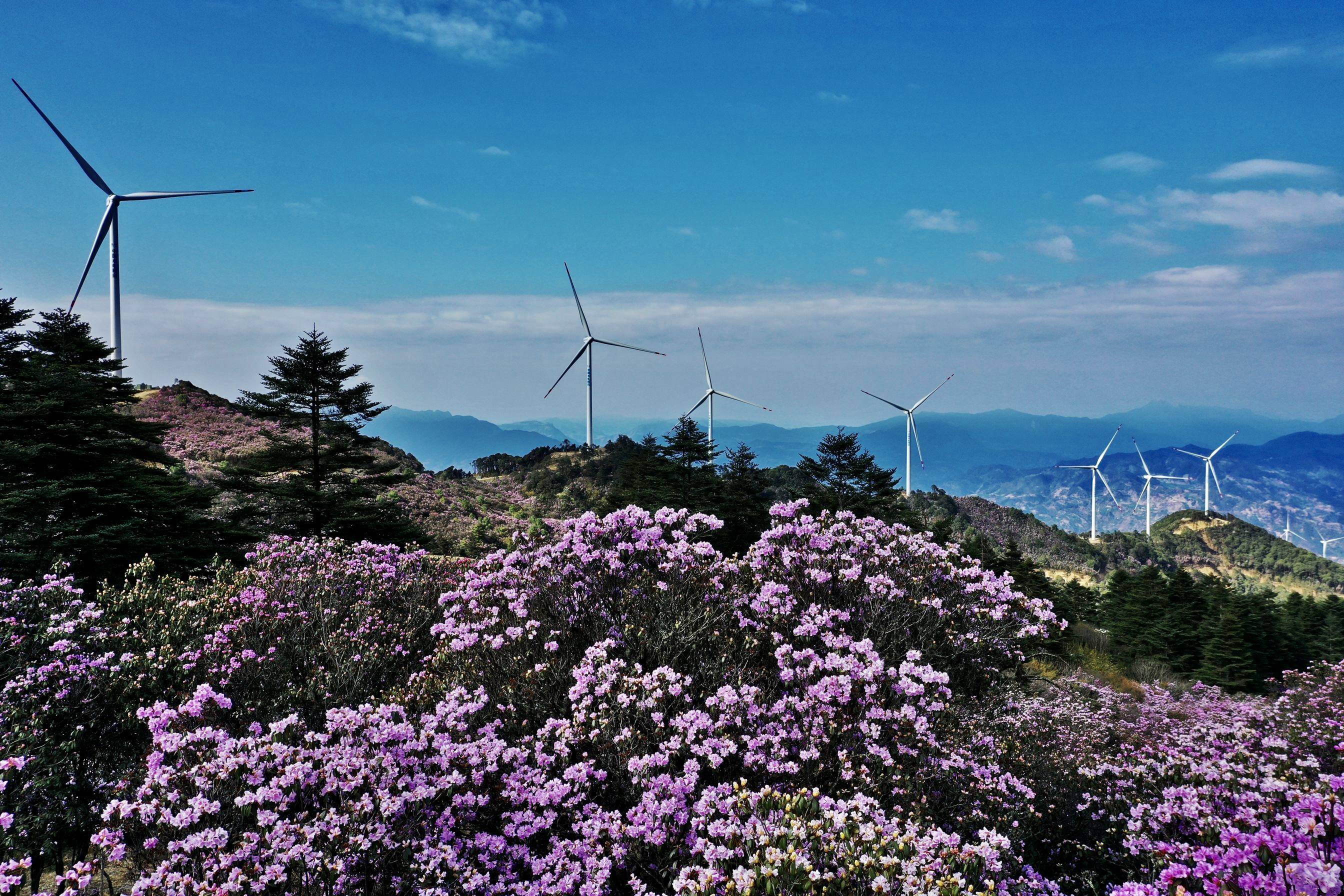 川报文章丨五彩凉山奏响绿色崛起强音