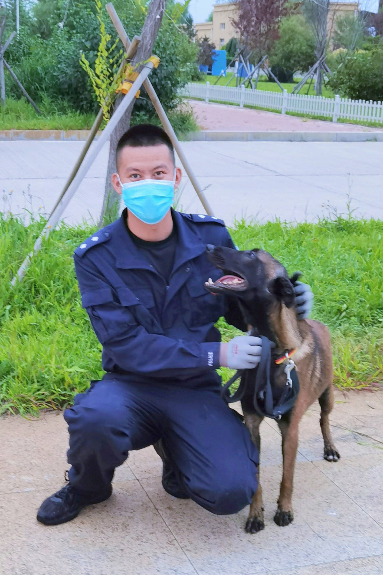 "江勋"是一条雄性黑棕短毛的马犬,2020年8月出生,目前将近一岁半.