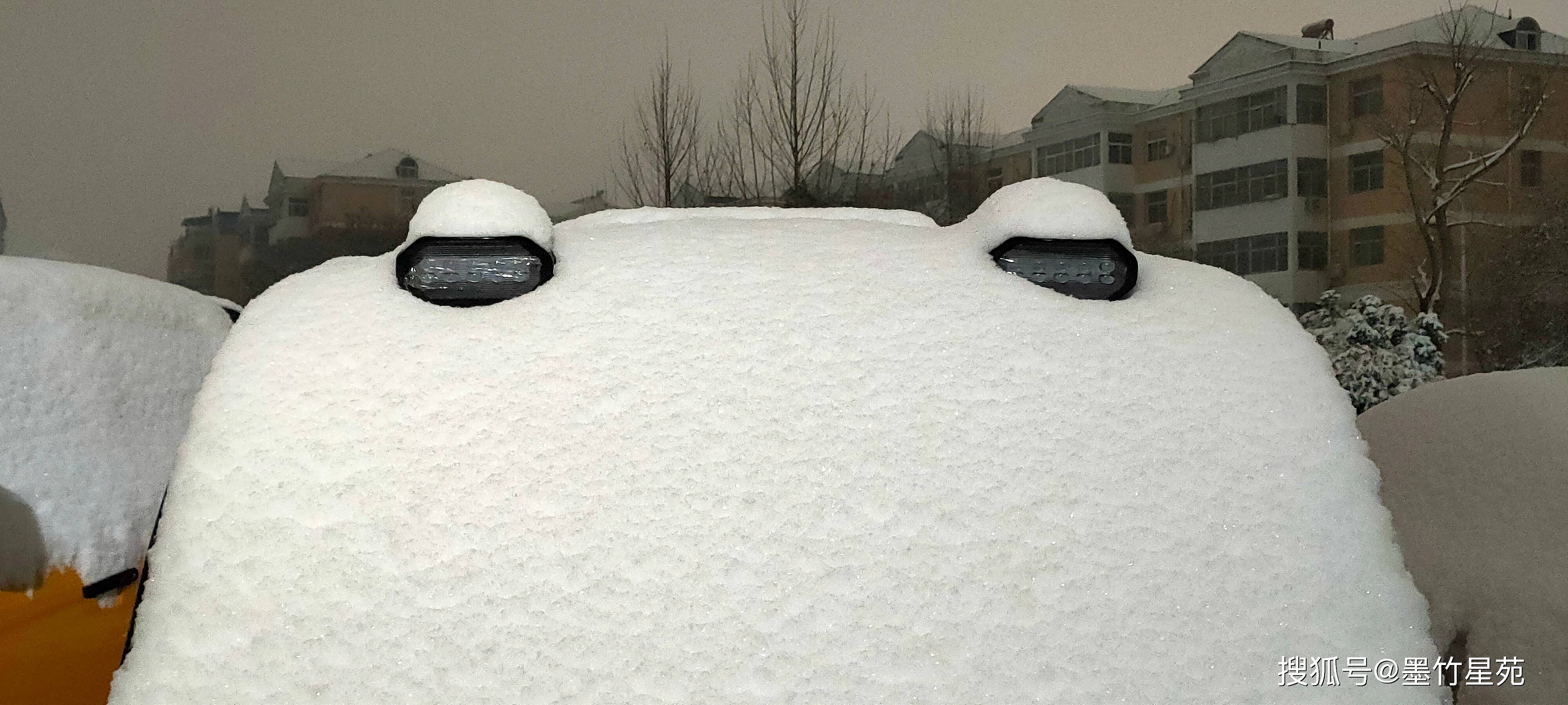 款款深情|【墨竹】多彩的雪