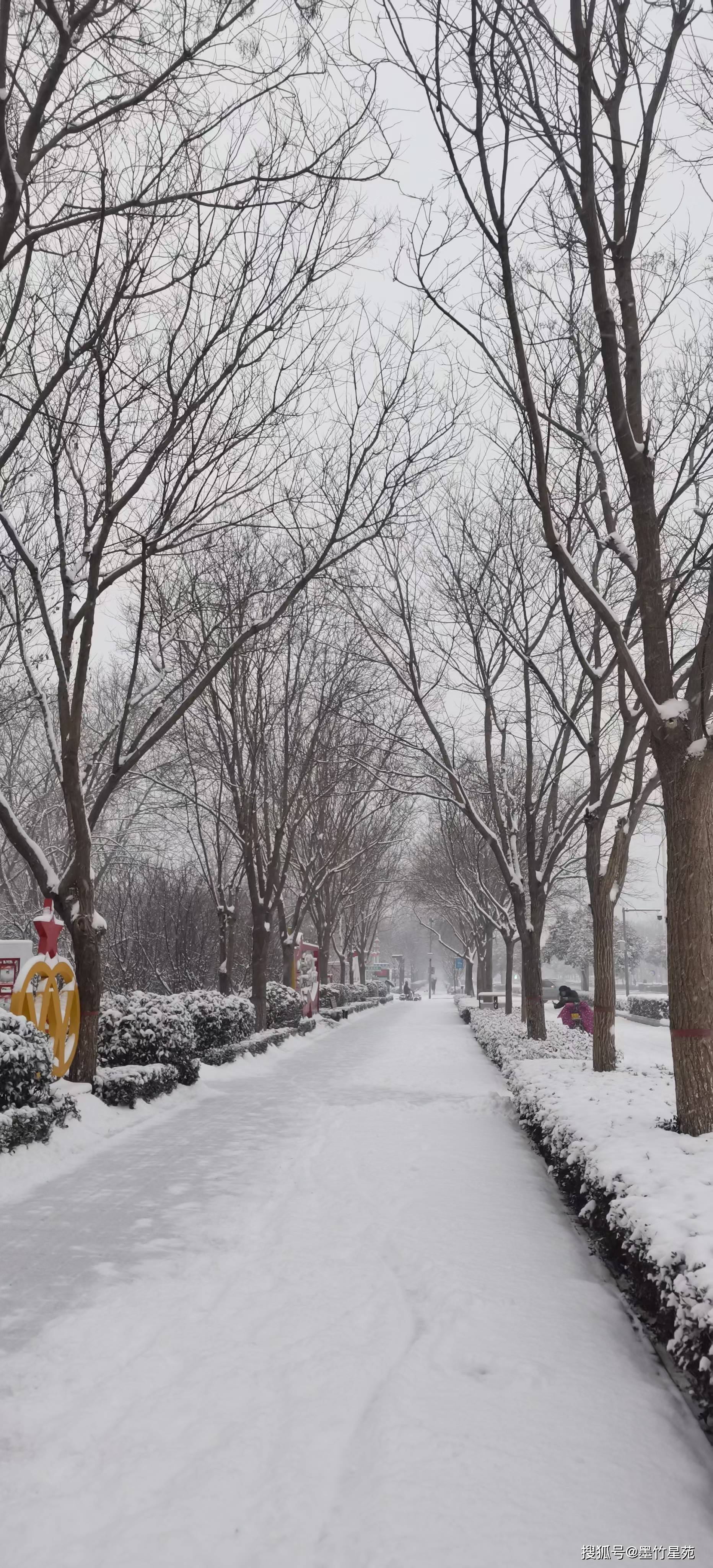 款款深情|【墨竹】多彩的雪