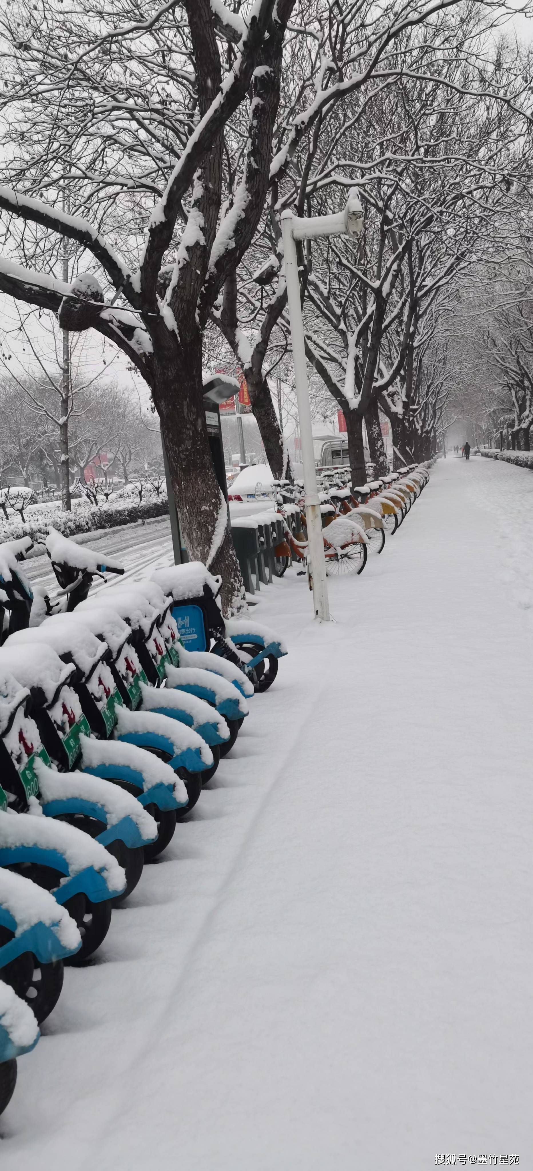 款款深情|【墨竹】多彩的雪