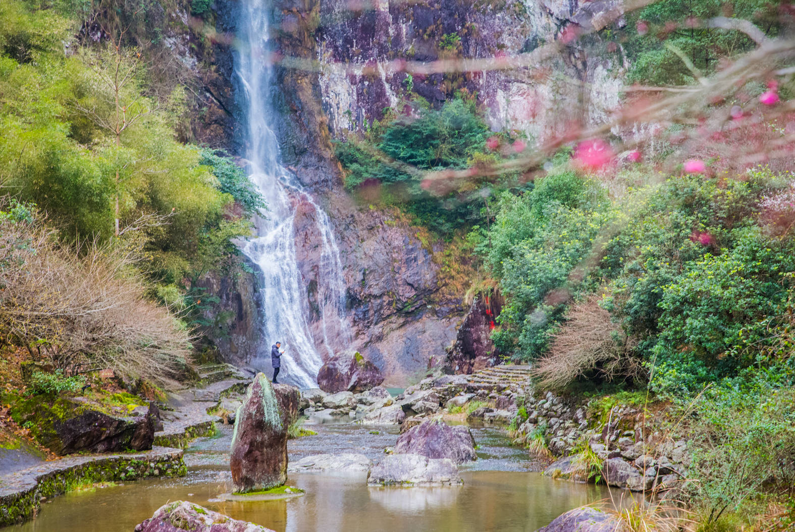 景区|永嘉书院梅花已绽放，空谷传声花香书香，春节前后正当时