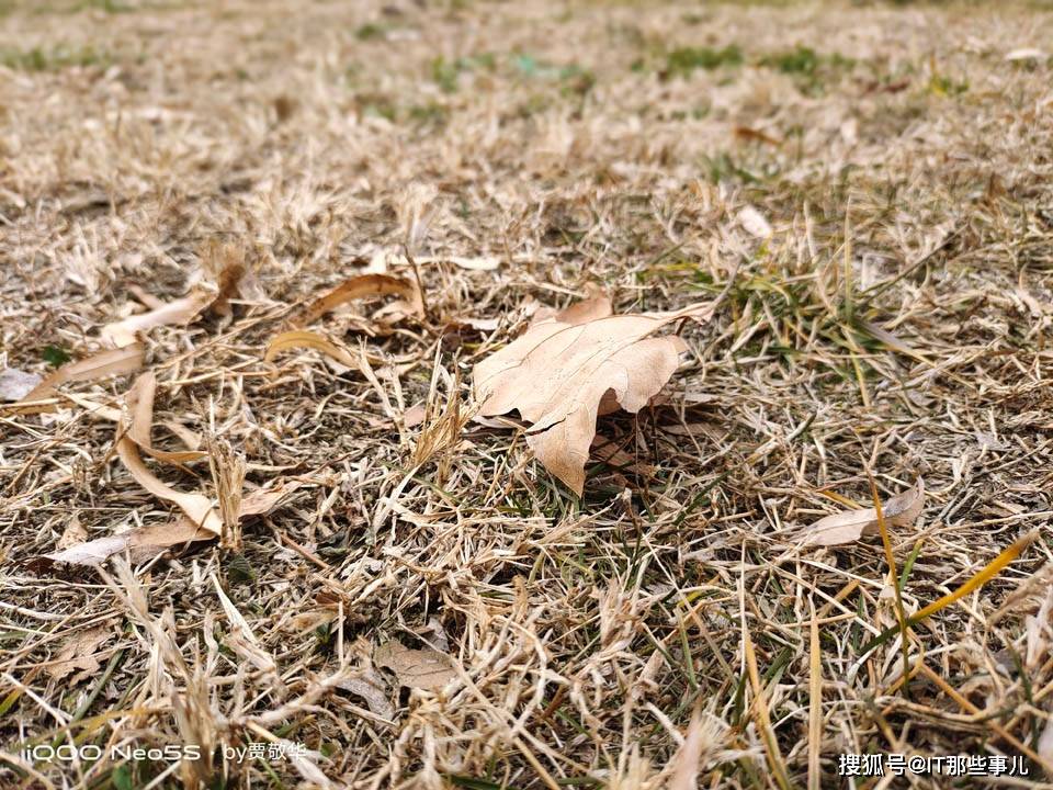 配置小幅提升 性能和用户体验全面升级 iQOO Neo5S评测