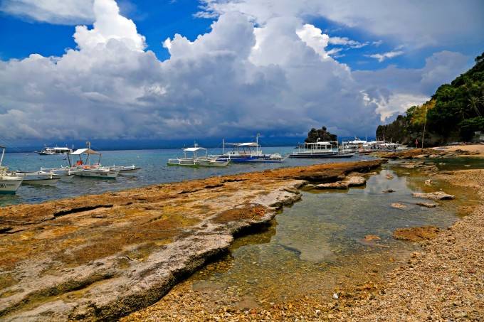 阿波岛 apo island，岸边浅滩即可浮潜。在阿波岛岸边浅滩浮潜就可以看见海